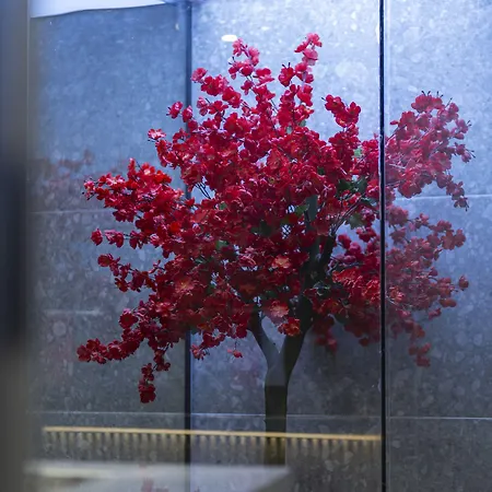 Destiny Hotel&spa Hotel
